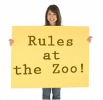 rules-of-zoo