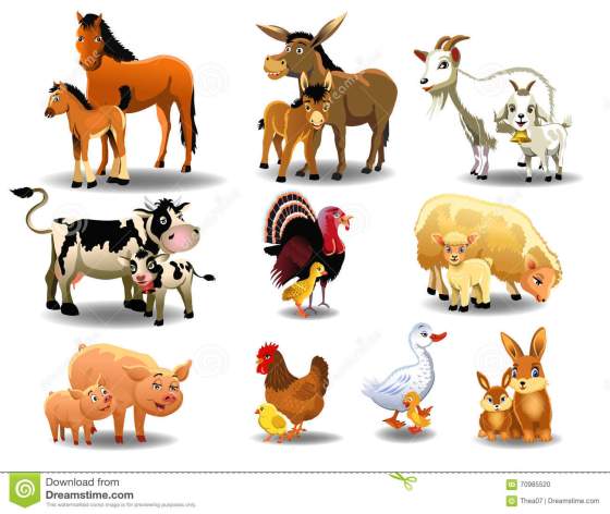 farm-animals-their-babies-vector-set-white-background-70985520