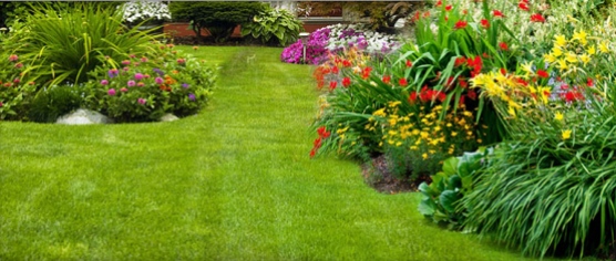 beautiful-lawn-and-flowers-2